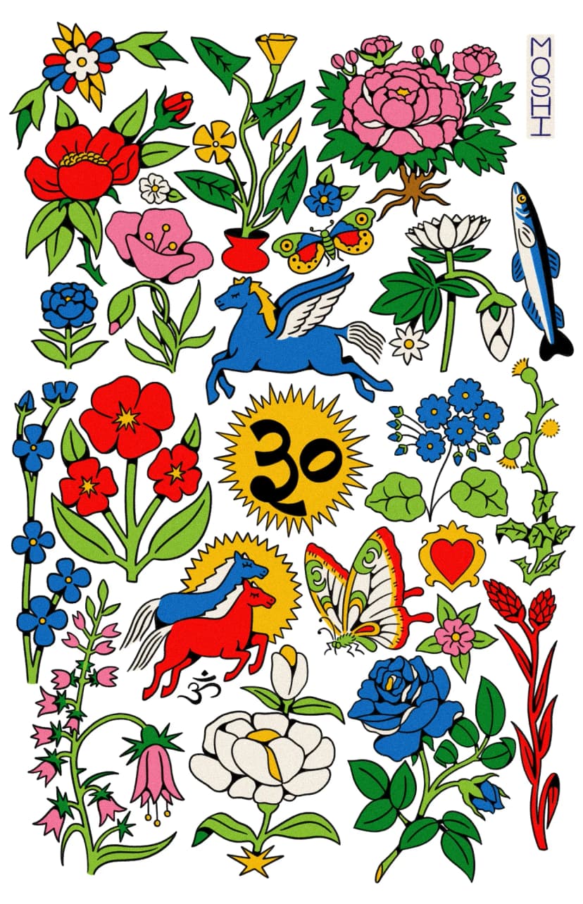 Portafolio 3 de Moshilovesu