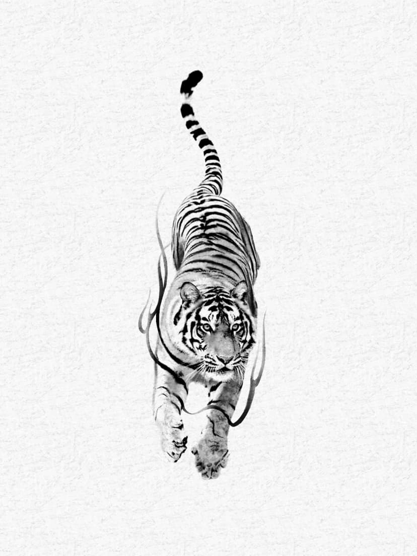 Tigre
