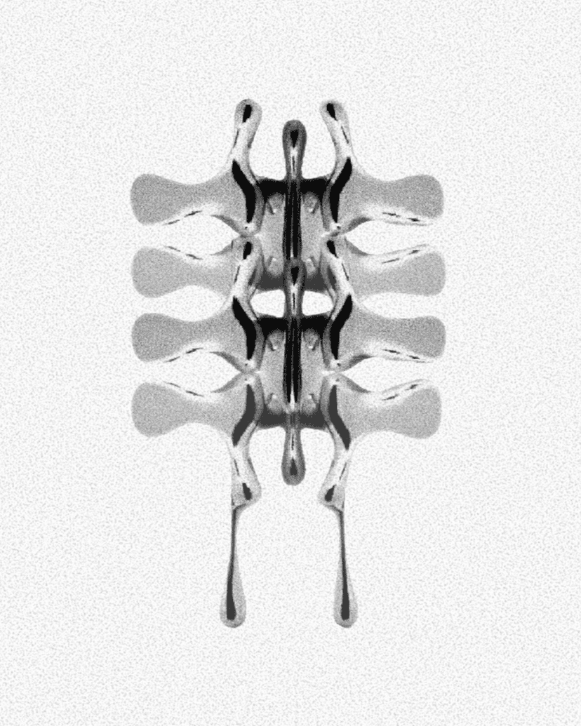 Biomecánico vertebral I