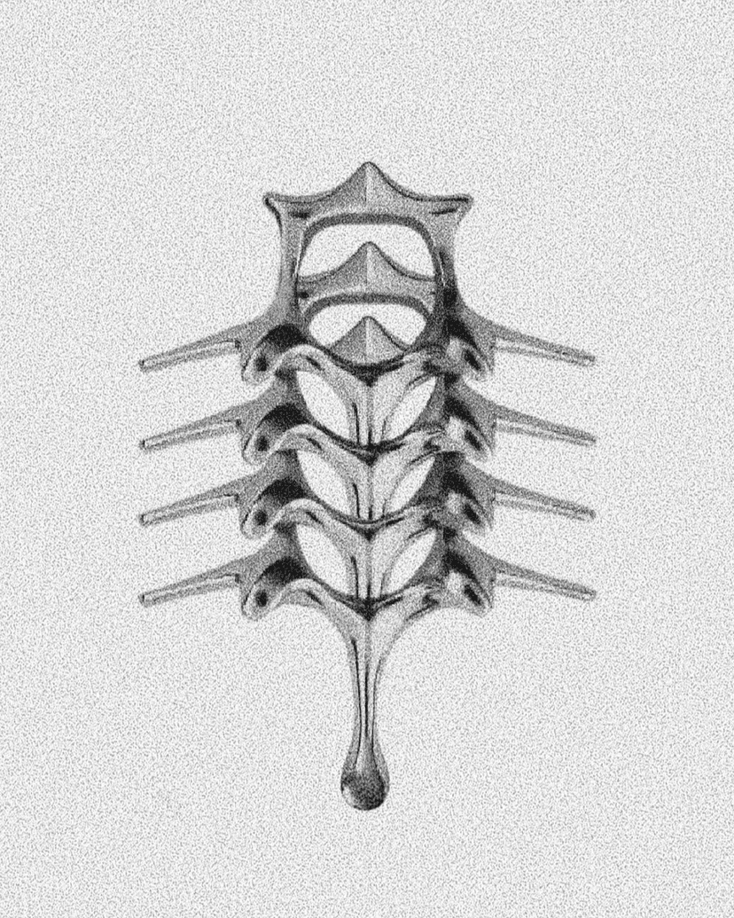Biomecánico Vertebral II