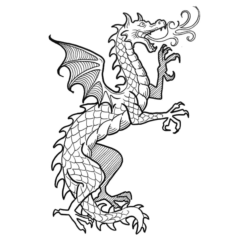 Dragón