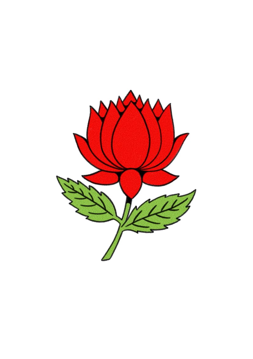 Flor de loto